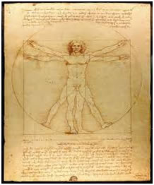 El hombre de Vitruvio de Leonardo Da Vinci